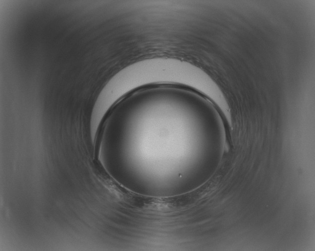 X0000073490276200607311234
