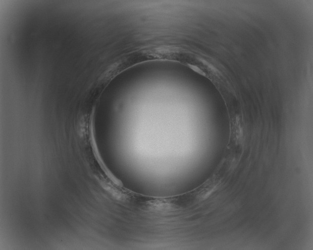X0000073490284200607311234