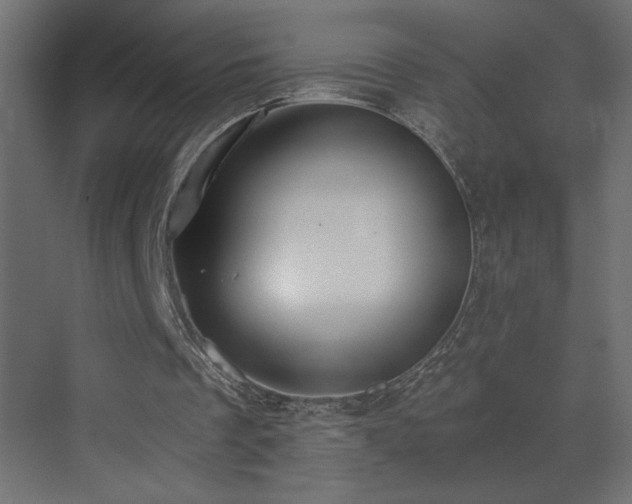 X0000073490289200607311234