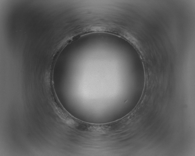 X0000073490297200607311233
