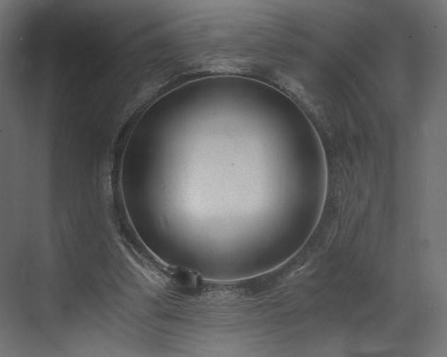 X0000073490299200607311233