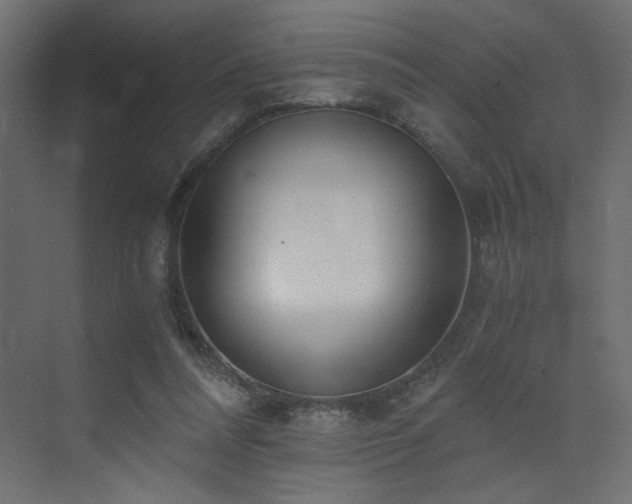 X0000073490304200607311233