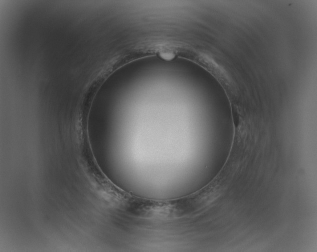 X0000073490306200607311233