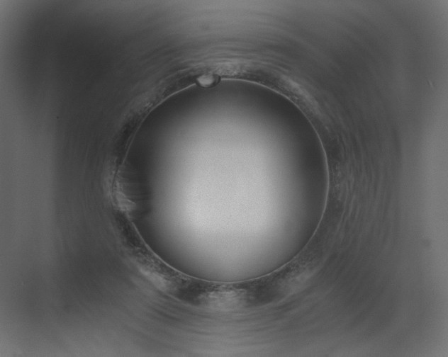 X0000073490307200607311233