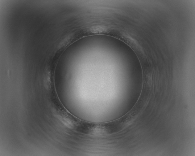 X0000073490308200607311233