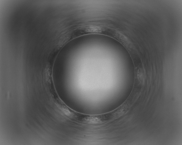 X0000073490322200607311233