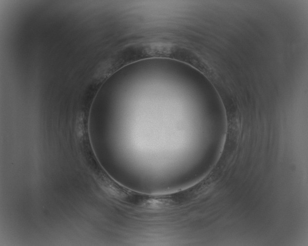 X0000073490323200607311233