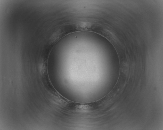 X0000073490324200607311233