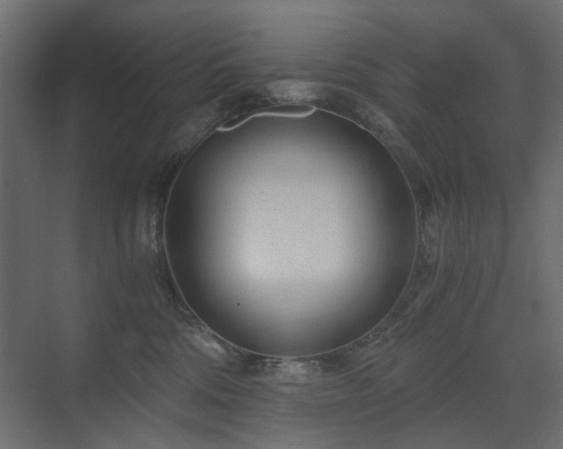 X0000073490330200607311233