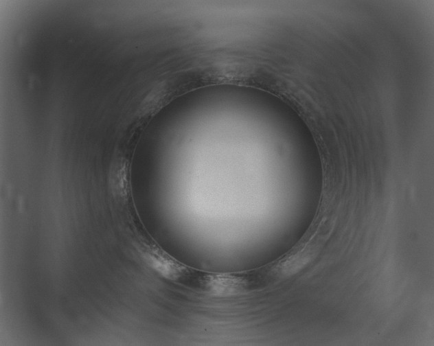 X0000073490336200607311233