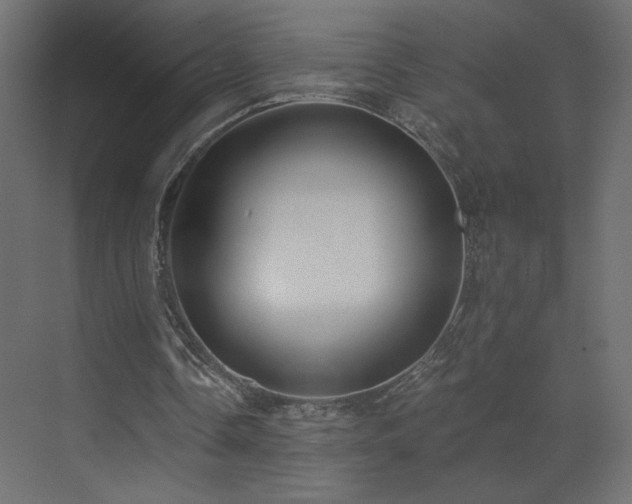 X0000073490338200607311232
