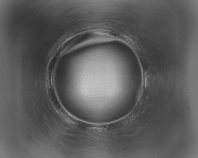 X0000073490339200607311232