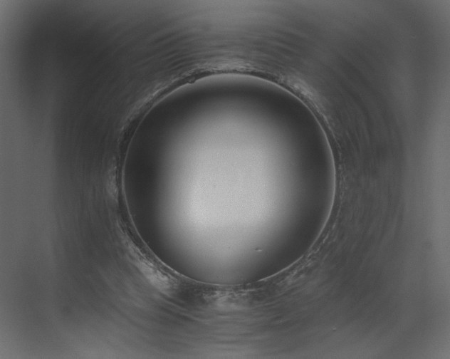 X0000073490345200607311232