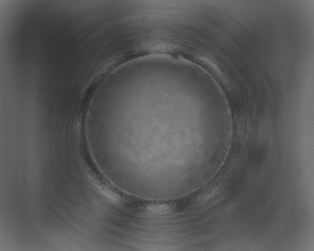 X0000073490357200607311232