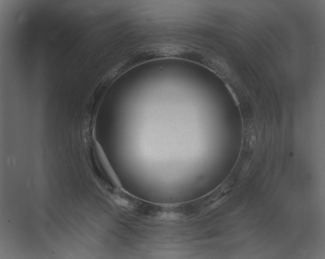 X0000073490360200607311232
