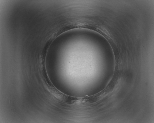 X0000073490366200607311233