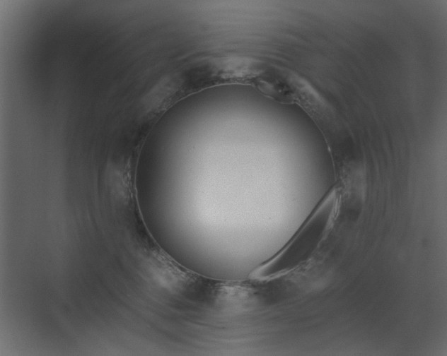 X0000073490376200607311233