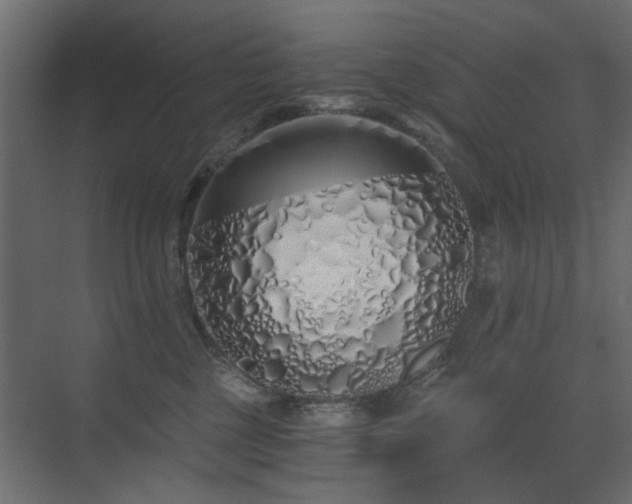 X0000073490377200607311233