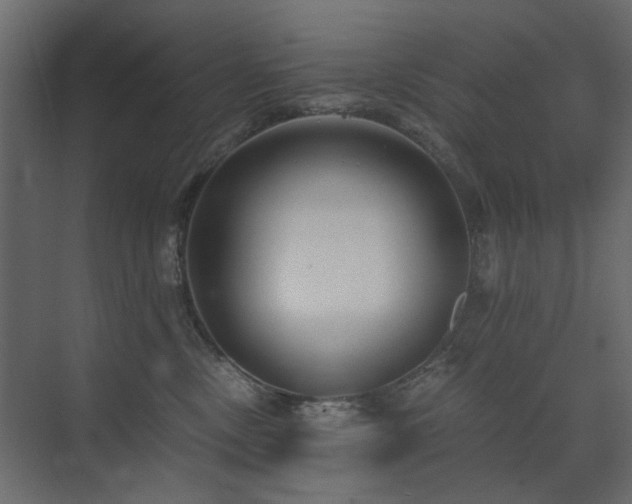 X0000073490378200607311233