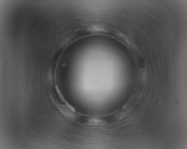 X0000073490380200607311233