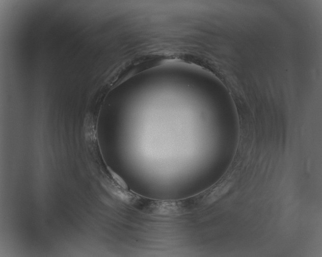X0000073490384200607311233