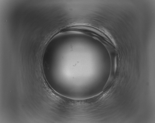 X0000073490385200607311232