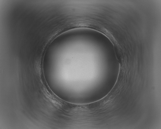 X0000073490386200607311232