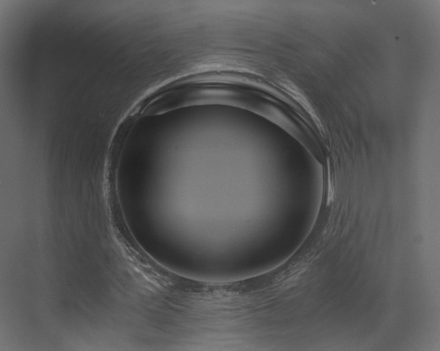 X0000073490387200607311232