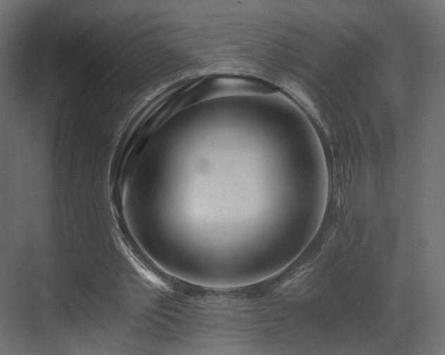 X0000073490389200607311232