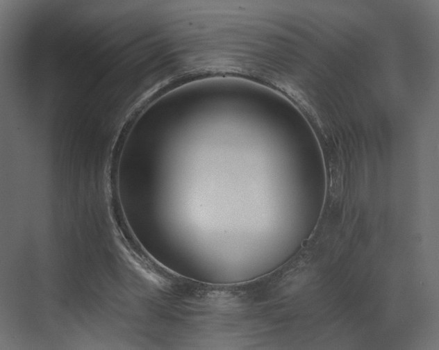 X0000073490390200607311232