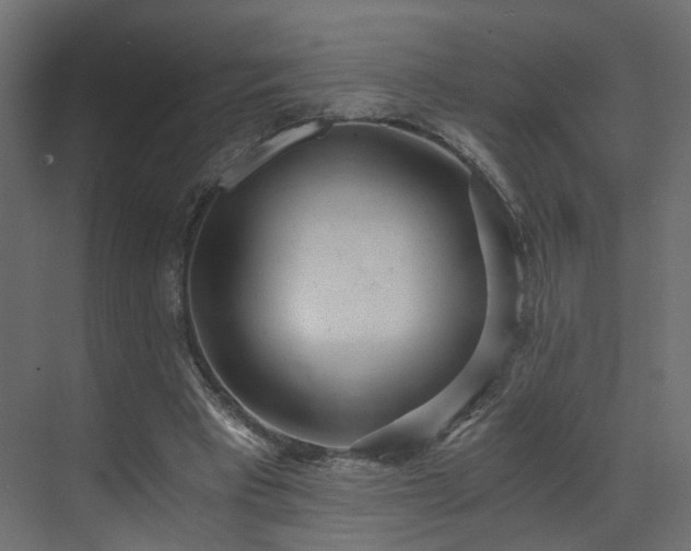 X0000073490393200607311232