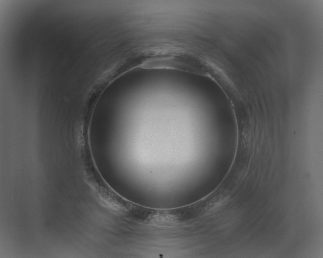 X0000073490403200607311232