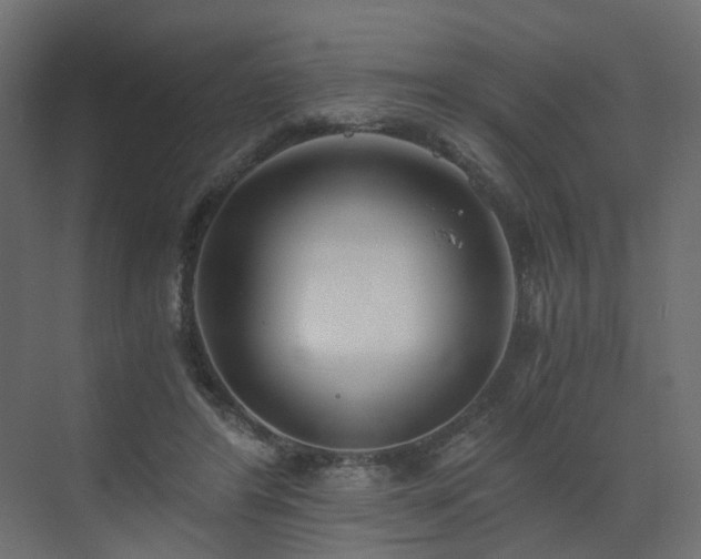 X0000073490404200607311232