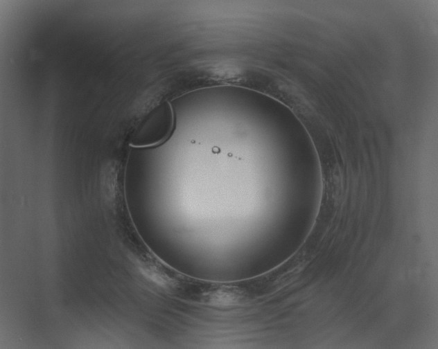 X0000073490412200607311232