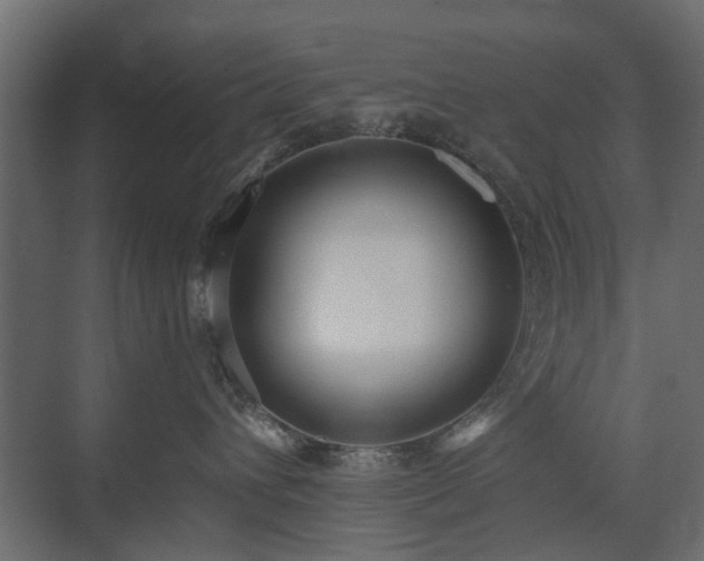 X0000073490432200607311231