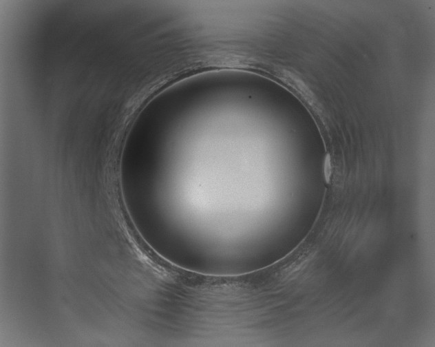 X0000073490433200607311230