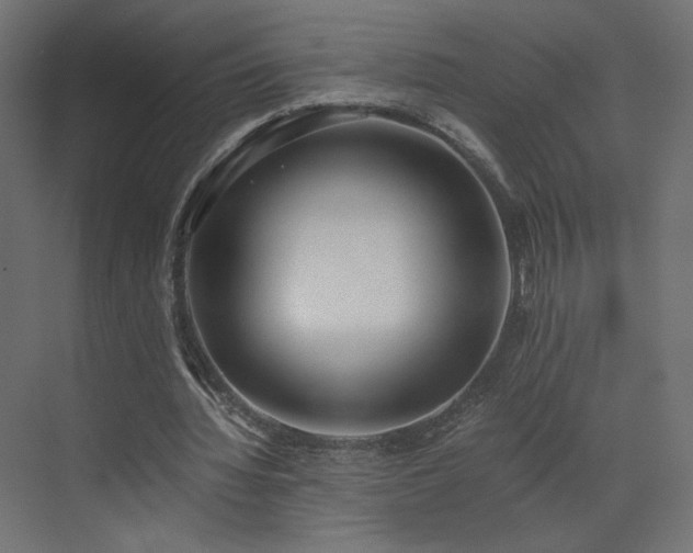 X0000073490436200607311230