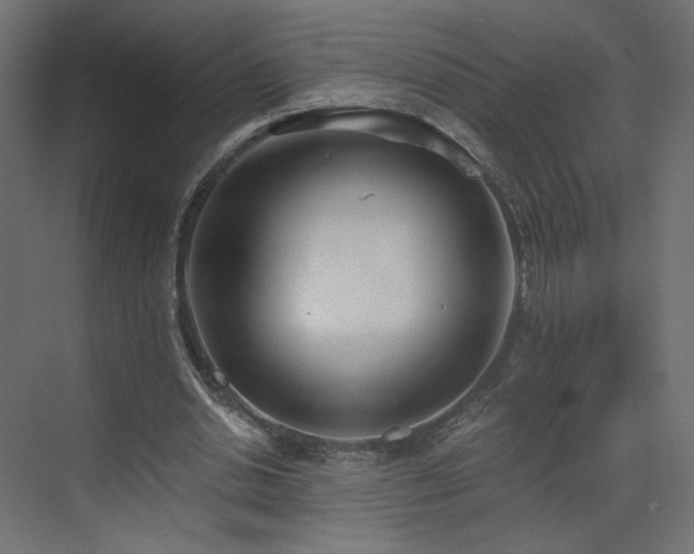 X0000073490438200607311230
