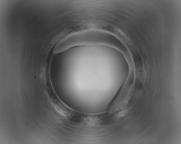 X0000073490444200607311231