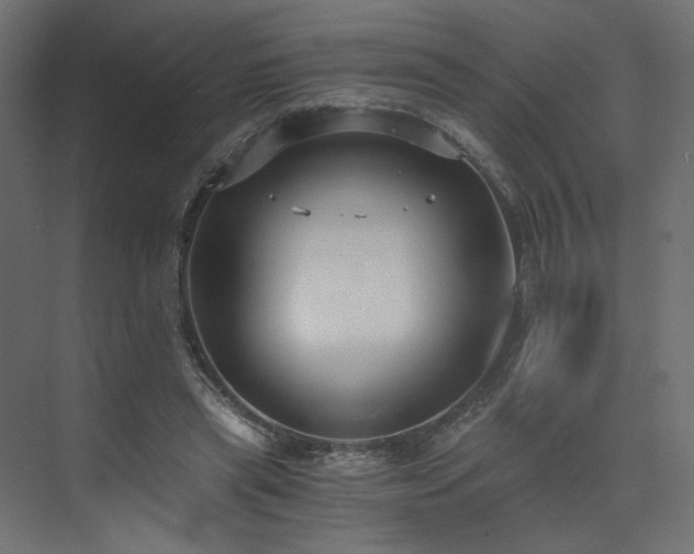 X0000073490445200607311231