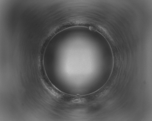 X0000073490447200607311231