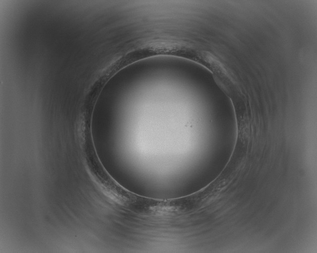 X0000073490448200607311231