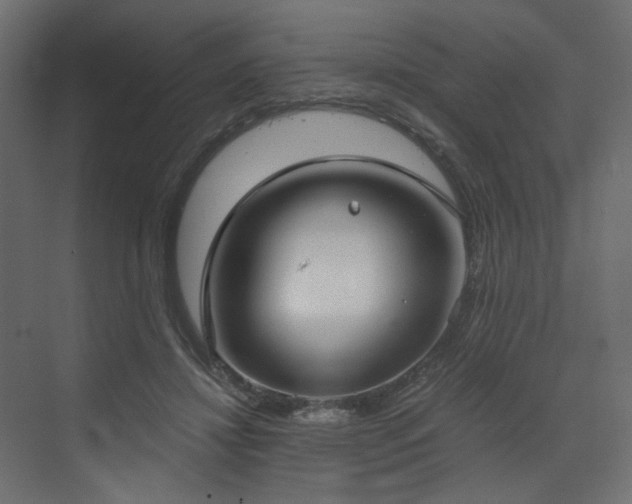 X0000073490452200607311231