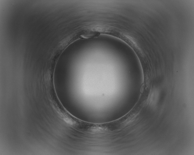 X0000073490453200607311231
