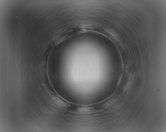 X0000073490461200607311231