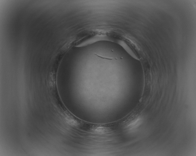X0000073490467200607311231