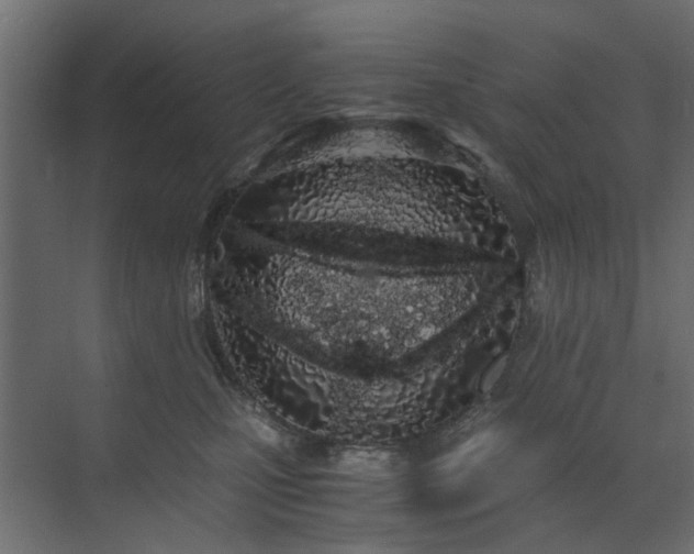 X0000073490471200607311231