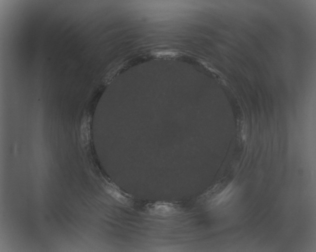 X0000073490475200607311231