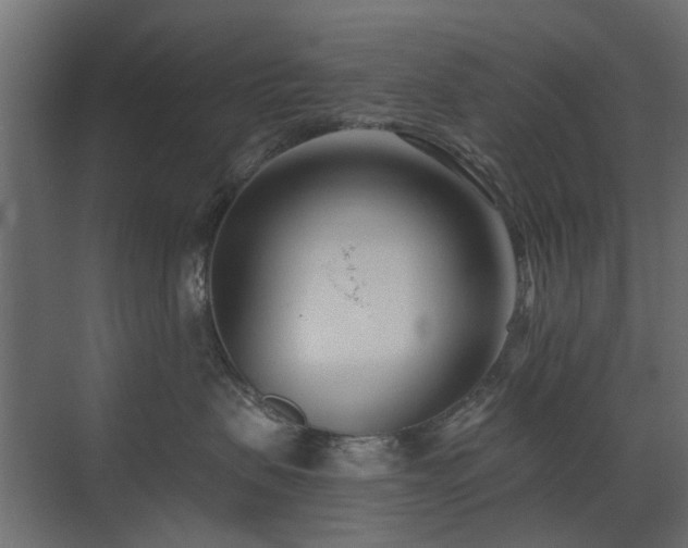 X0000073490479200607311231