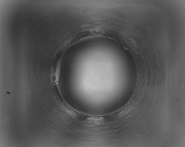 X0000073490480200607311231